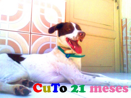 Cuando tenia 21 Meses Cuando tenia 21 Meses